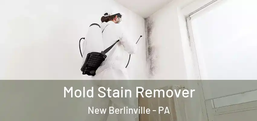 Mold Stain Remover New Berlinville - PA