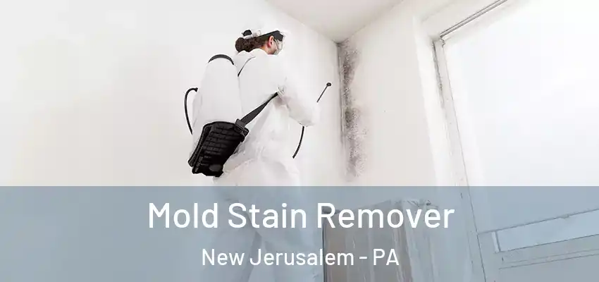 Mold Stain Remover New Jerusalem - PA
