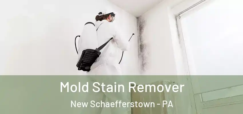  Mold Stain Remover New Schaefferstown - PA
