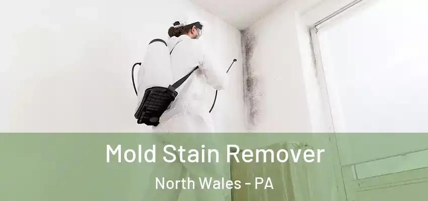  Mold Stain Remover North Wales - PA