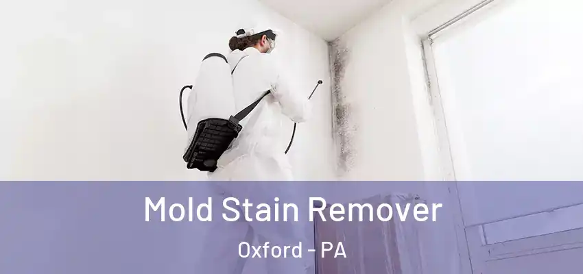  Mold Stain Remover Oxford - PA