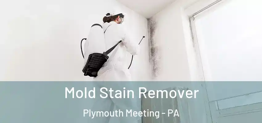  Mold Stain Remover Plymouth Meeting - PA