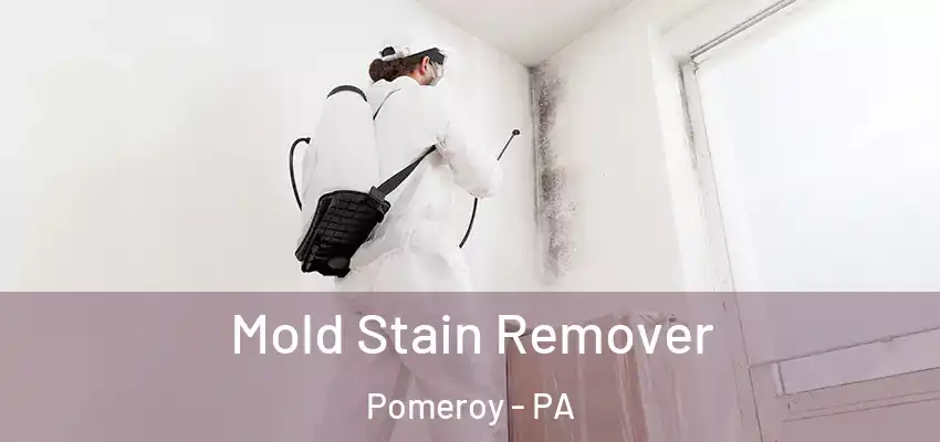  Mold Stain Remover Pomeroy - PA