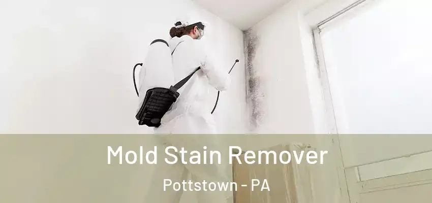 Mold Stain Remover Pottstown - PA