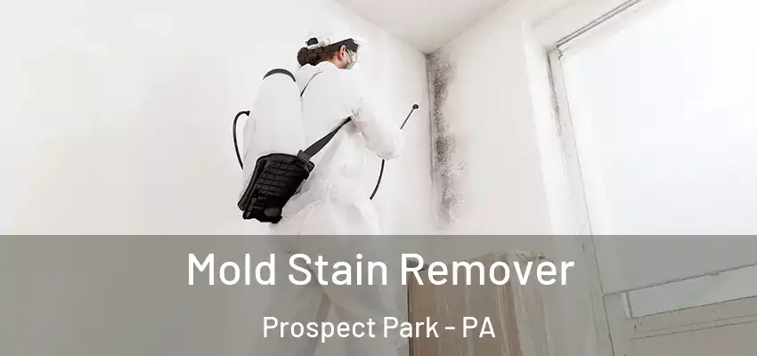 Mold Stain Remover Prospect Park - PA