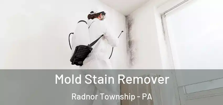  Mold Stain Remover Radnor Township - PA