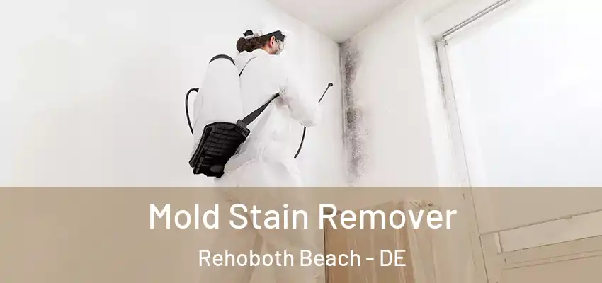 Mold Stain Remover Rehoboth Beach - DE