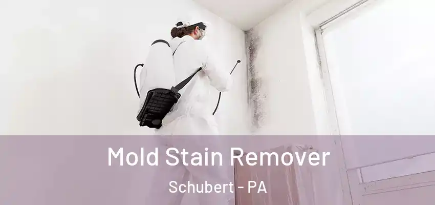  Mold Stain Remover Schubert - PA