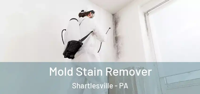  Mold Stain Remover Shartlesville - PA