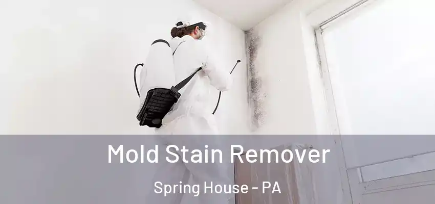 Mold Stain Remover Spring House - PA