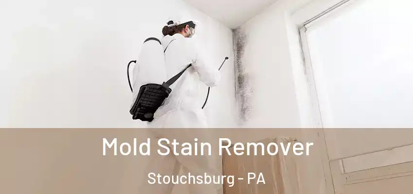 Mold Stain Remover Stouchsburg - PA
