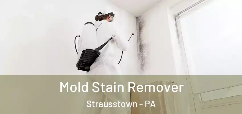 Mold Stain Remover Strausstown - PA