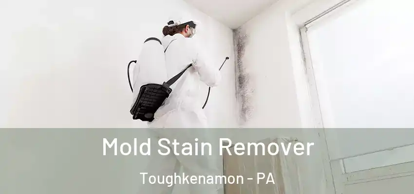 Mold Stain Remover Toughkenamon - PA