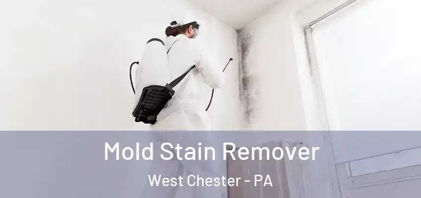  Mold Stain Remover West Chester - PA