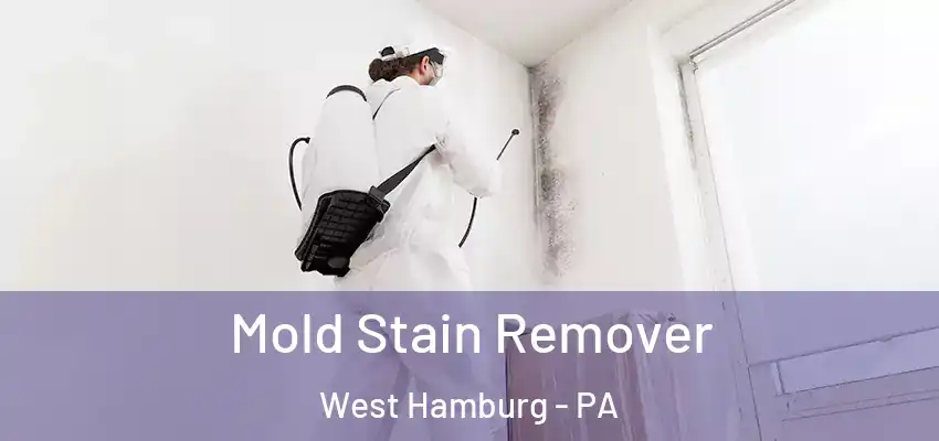  Mold Stain Remover West Hamburg - PA