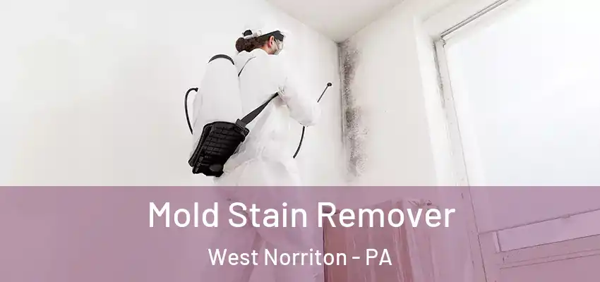  Mold Stain Remover West Norriton - PA