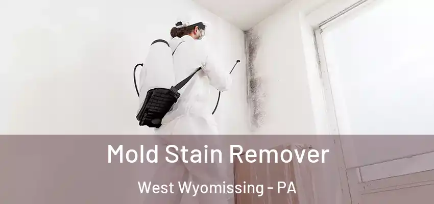  Mold Stain Remover West Wyomissing - PA