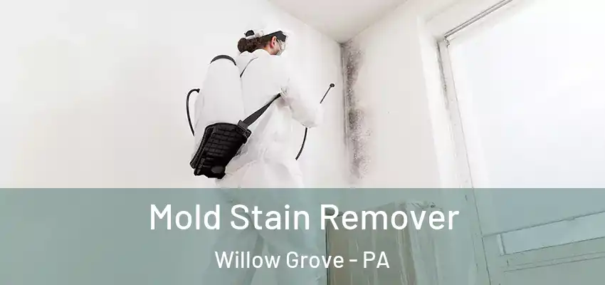  Mold Stain Remover Willow Grove - PA