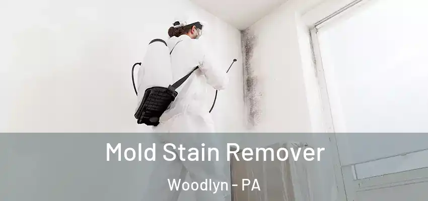  Mold Stain Remover Woodlyn - PA