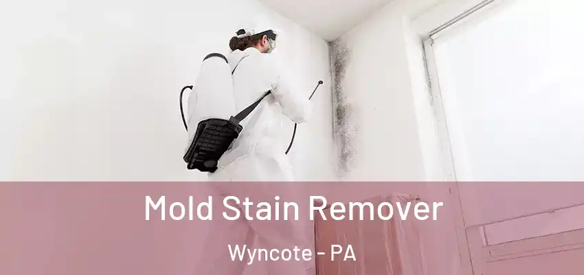  Mold Stain Remover Wyncote - PA