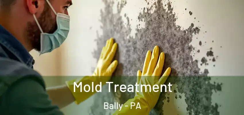 Mold Treatment Bally - PA
