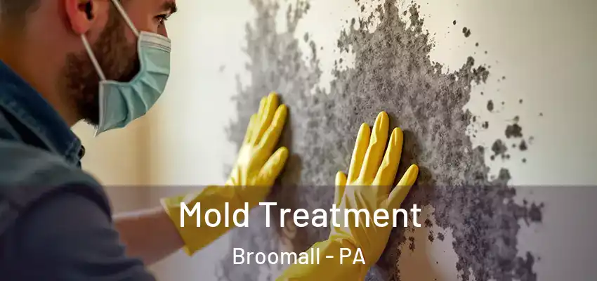 Mold Treatment Broomall - PA