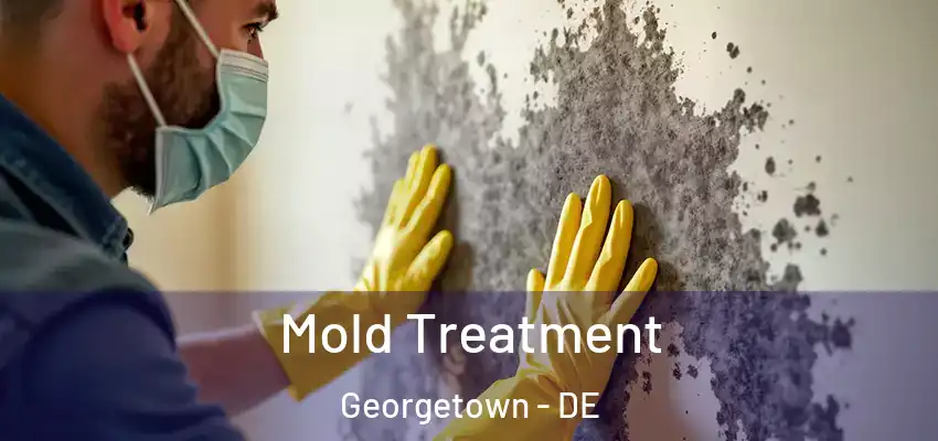 Mold Treatment Georgetown - DE