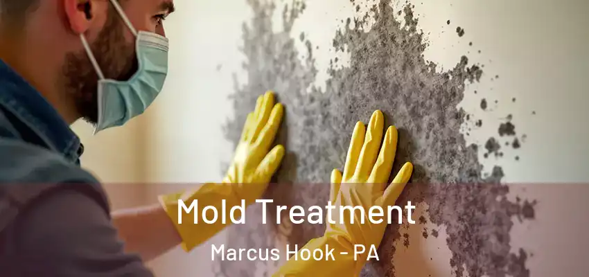  Mold Treatment Marcus Hook - PA