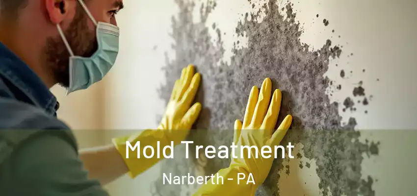  Mold Treatment Narberth - PA