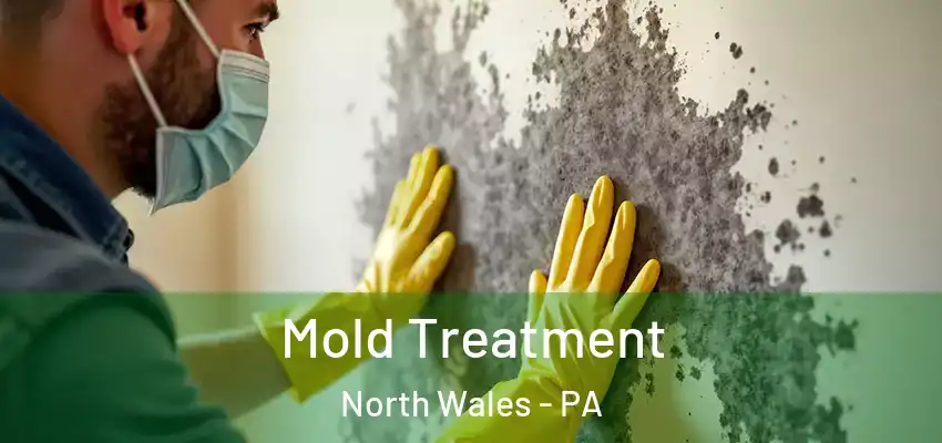  Mold Treatment North Wales - PA