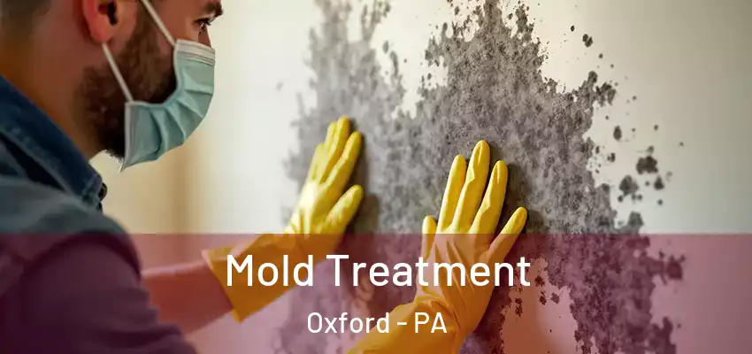 Mold Treatment Oxford - PA
