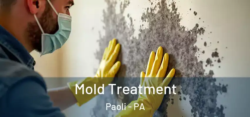  Mold Treatment Paoli - PA