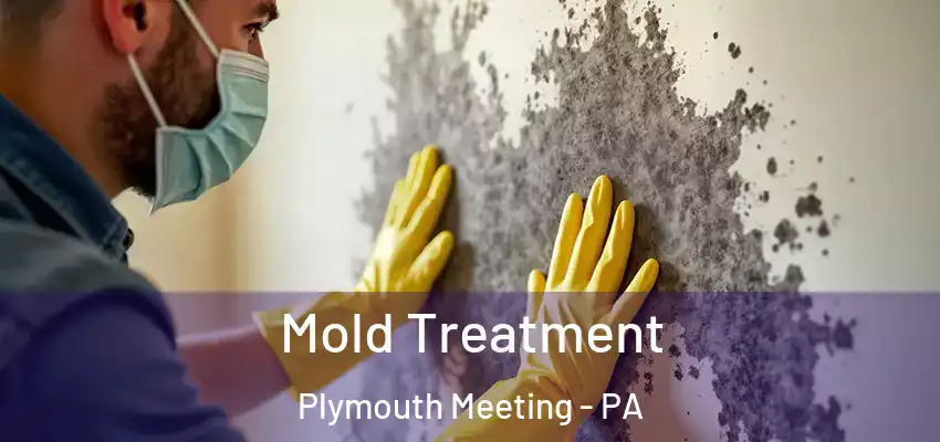 Mold Treatment Plymouth Meeting - PA