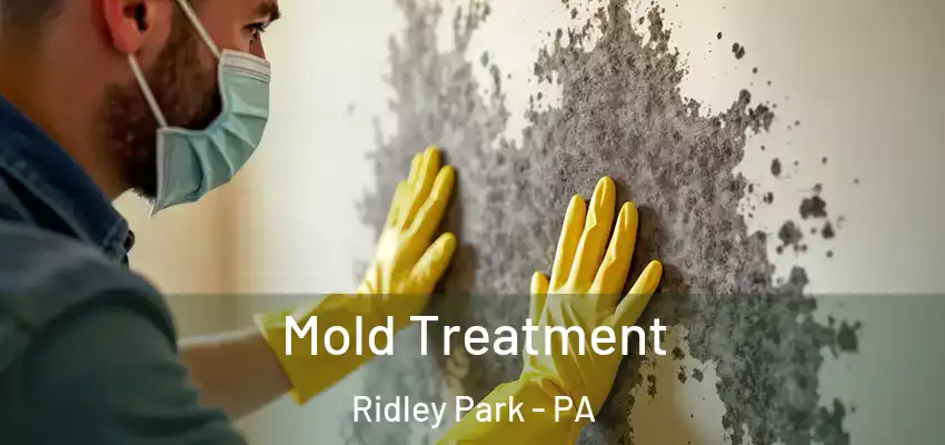 Mold Treatment Ridley Park - PA