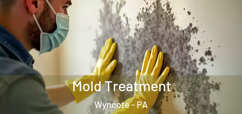 Mold Treatment Wyncote - PA