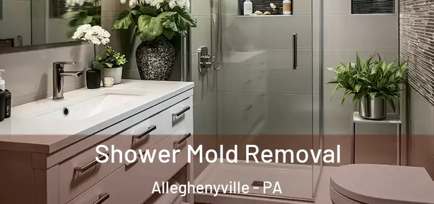  Shower Mold Removal Alleghenyville - PA