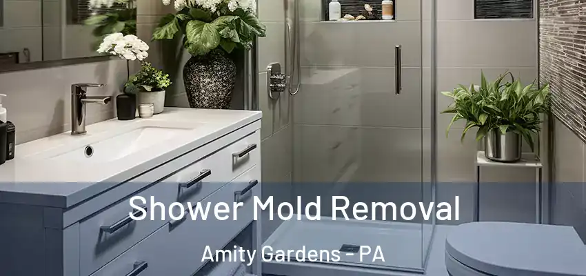 Shower Mold Removal Amity Gardens - PA