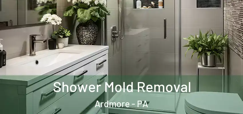 Shower Mold Removal Ardmore - PA