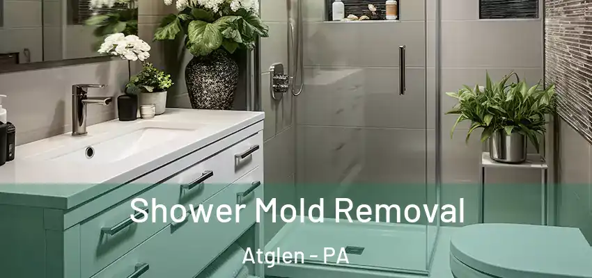 Shower Mold Removal Atglen - PA
