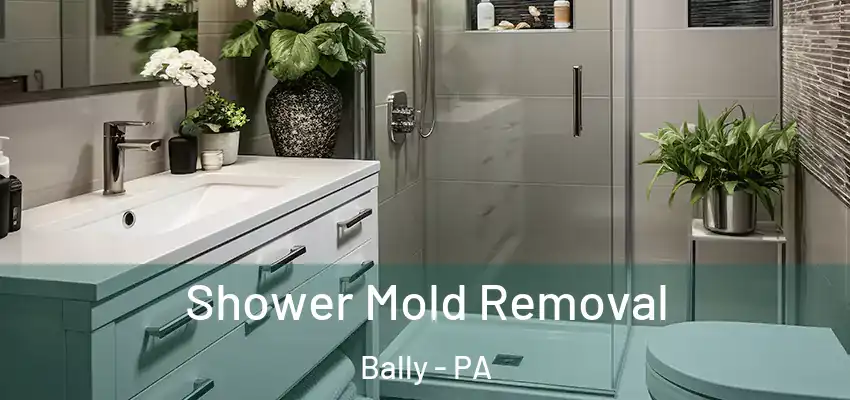  Shower Mold Removal Bally - PA