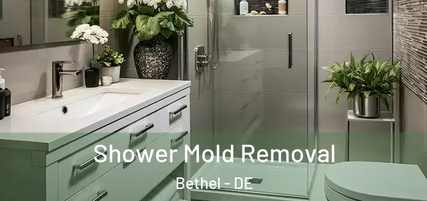 Shower Mold Removal Bethel - DE
