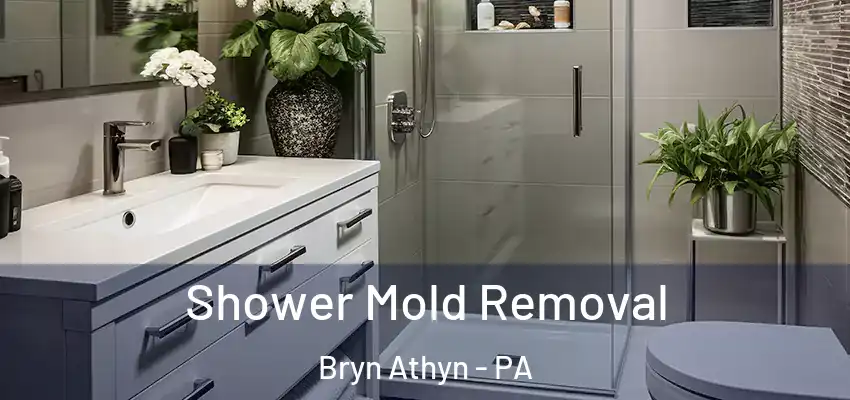  Shower Mold Removal Bryn Athyn - PA