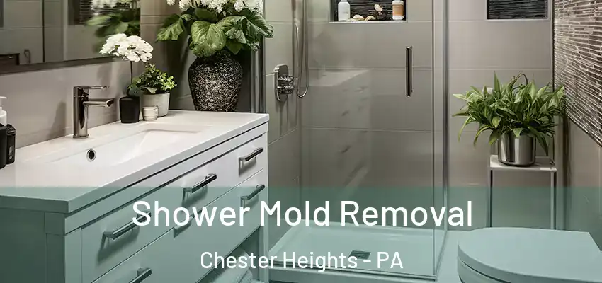  Shower Mold Removal Chester Heights - PA