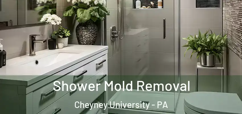  Shower Mold Removal Cheyney University - PA
