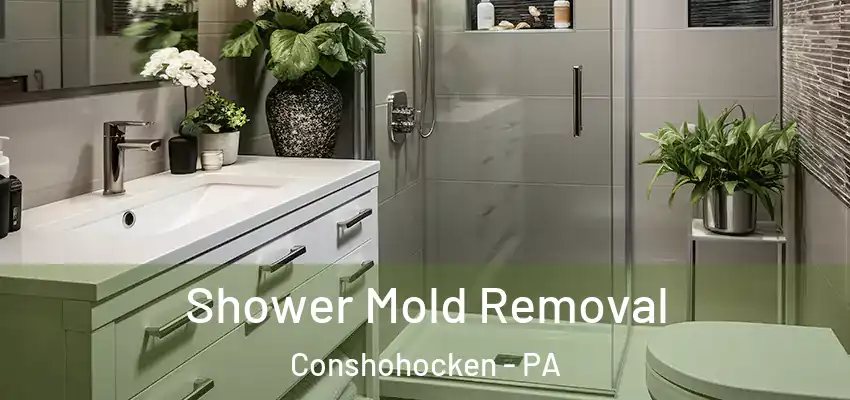  Shower Mold Removal Conshohocken - PA