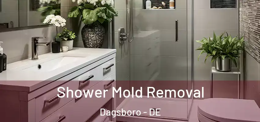 Shower Mold Removal Dagsboro - DE