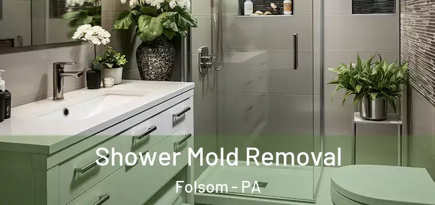 Shower Mold Removal Folsom - PA