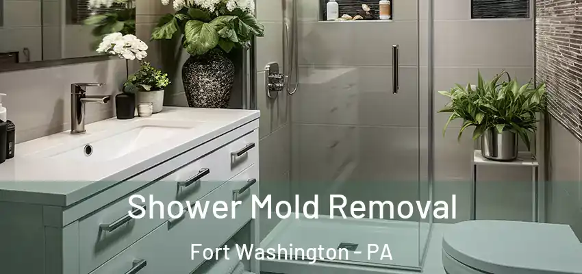Shower Mold Removal Fort Washington - PA
