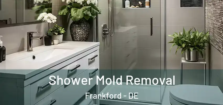 Shower Mold Removal Frankford - DE