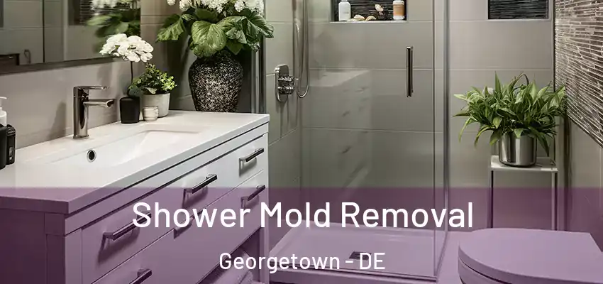 Shower Mold Removal Georgetown - DE